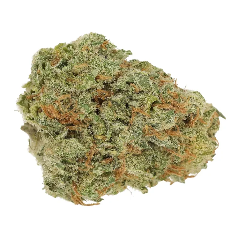 Amsterdam Amnesia Cannabisblüte mit silbrig-glänzendem Trichombelag und orangefarbenen Pistillen
