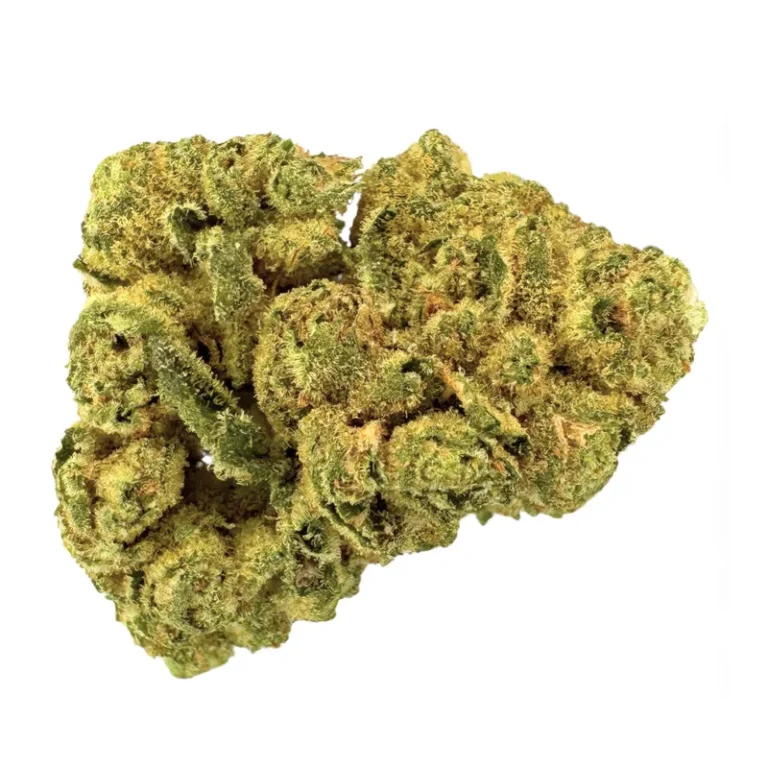 Big Purple Dragon Cannabis Blüte mit violetten Blättern und dichtem Trichom-Überzug