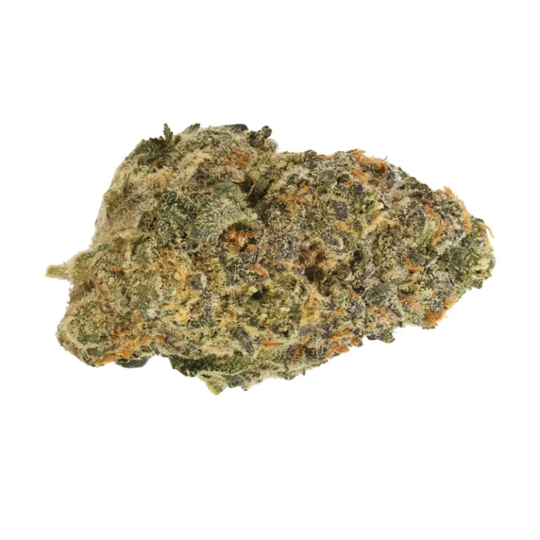 Biscotti Cannabisblüte mit dichten, harzigen Buds und violetten Farbtönen
