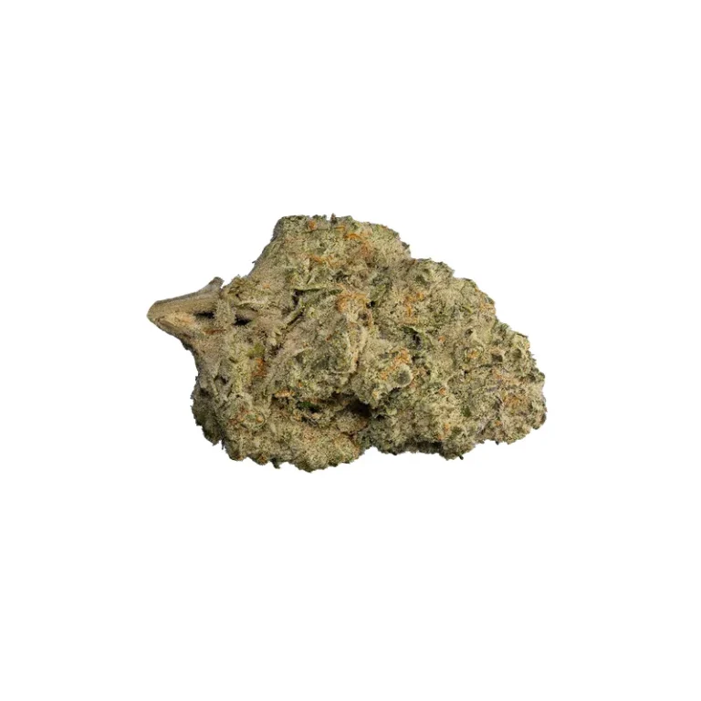 Black Cherry Punch Cannabisblüte mit dunkelvioletten, fast schwarzen Blütenblättern und dichtem, frostigem Trichombelag