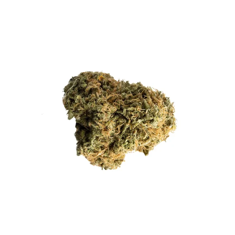 Black Krush Cannabisblüten mit dunklem Blattwerk, Indica-Sorte mit hohem THC-Gehalt
