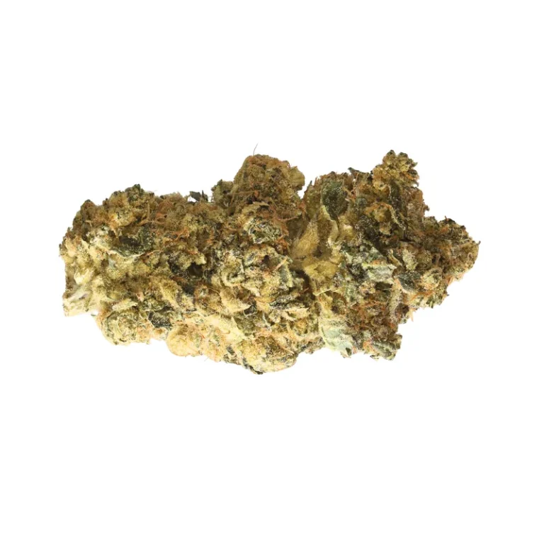 Blüten der Cannabissorte Black Mountain Side mit dichtem Trichombelag