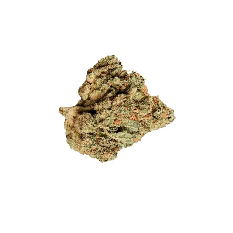 Dichte, dunkle Blüte der Cannabis-Sorte Black Triangle mit sichtbarem Trichombelag