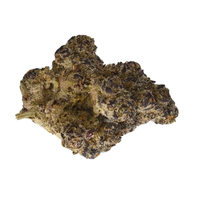 Blue Lobster Cannabisblüte mit bläulich schimmernden Blättern und sichtbaren Harzkristallen