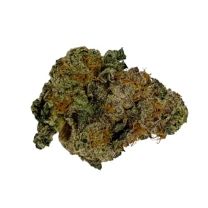 Cactus Breath