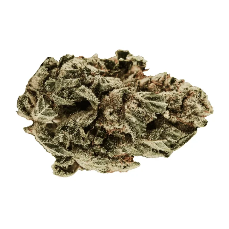 Chemdog Cannabisblüte mit dichten Trichomen und orangefarbenen Stempelfäden