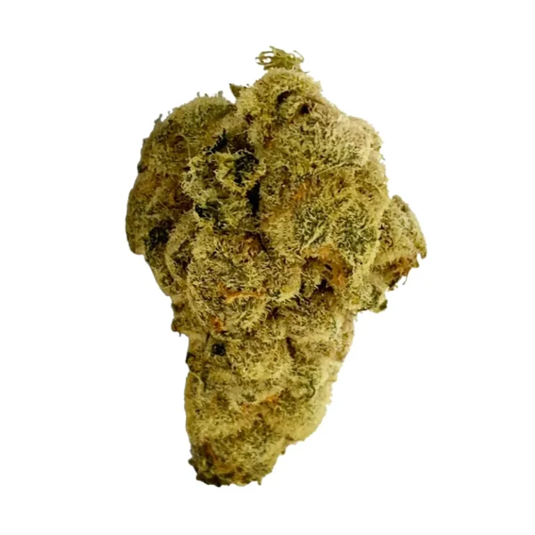 Nahaufnahme einer dicht mit Trichomen bedeckten Cherry Cheesecake Cannabisblüte