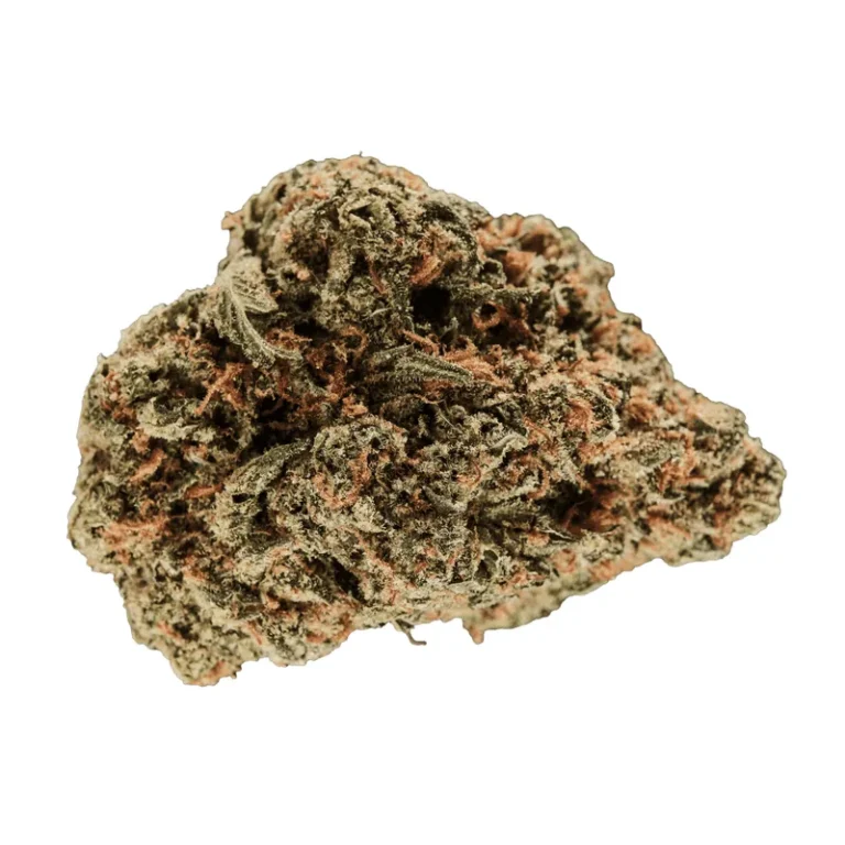 Cannabisblüten der Sorte Cinderella Kush mit dichten, harzigen Buds