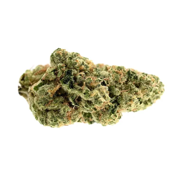 Cannabisblüte der Sorte Cookies OG mit dichtem Trichombelag vor neutralem Hintergrund