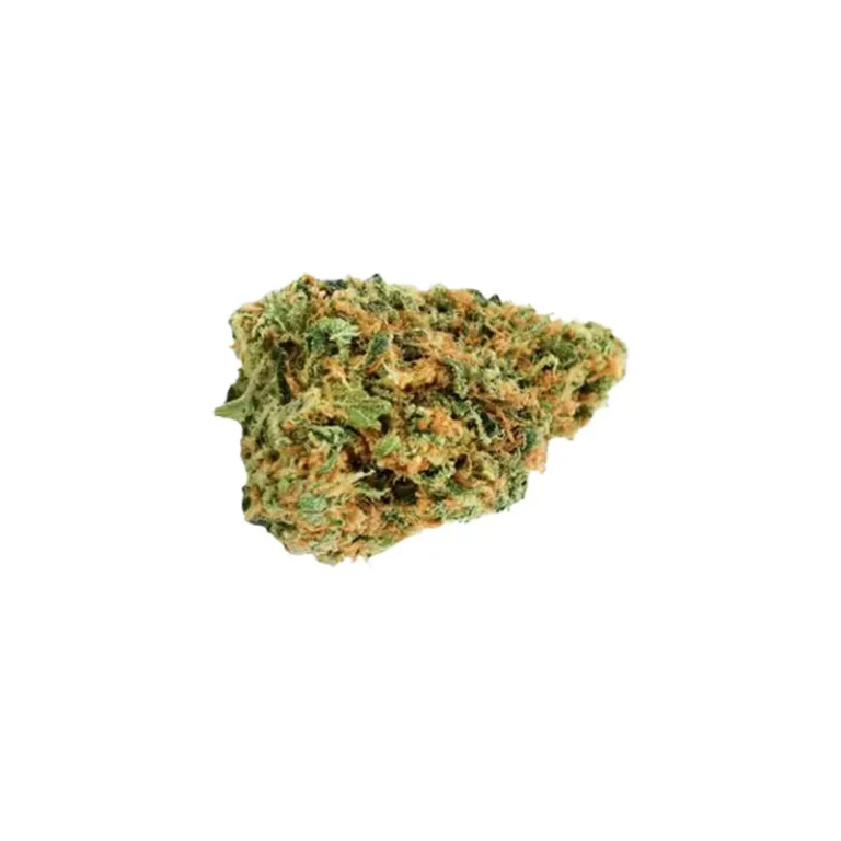 Critical Kush Cannabisblüte mit dichtem Harz und Limonen-Terpenprofil