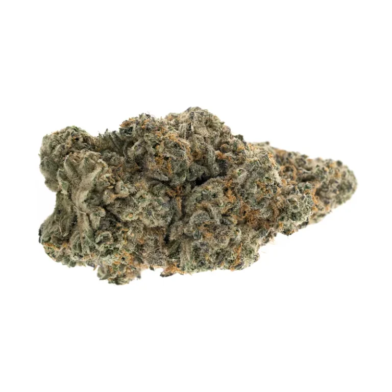 Crossbow Cannabisblüte mit violetten Blattspitzen und dichtem Trichombelag als Nahaufnahme