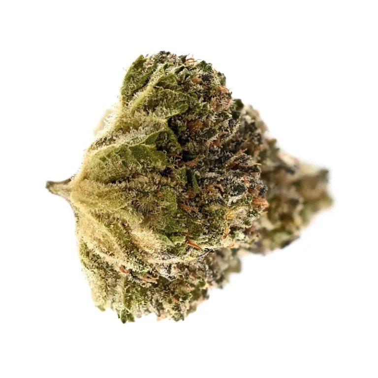 Getrocknete Blüten der medizinischen Cannabissorte Crumbled Lime mit orangefarbenen Stempeln und feinem Trichombelag