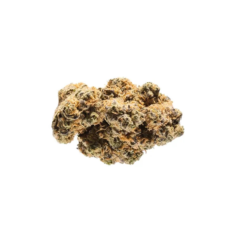 Dichte, trichomreiche Blüte der Cannabis-Sorte Do-Si-Dos mit violetten Akzenten
