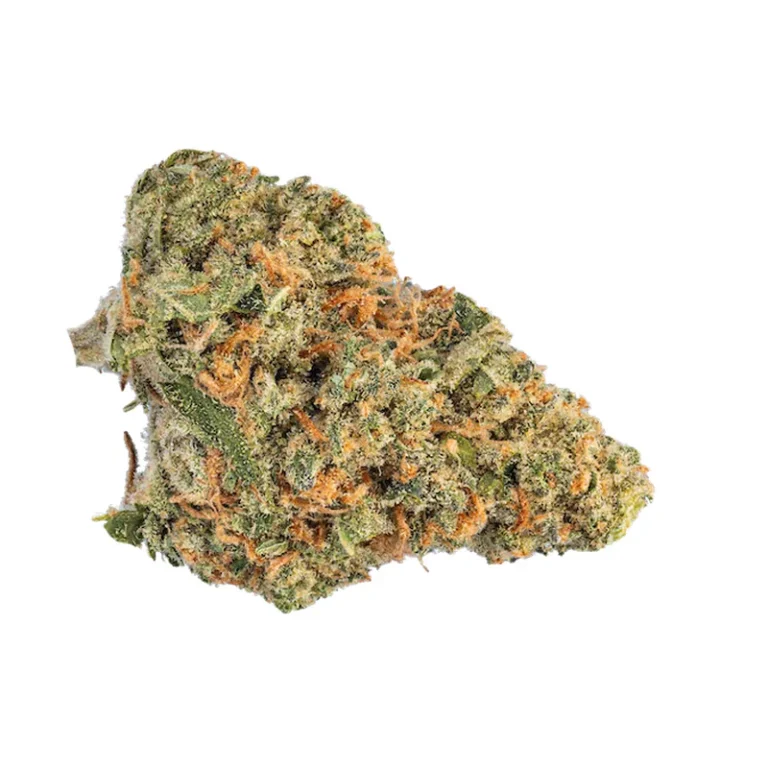 Blüte der Cannabissorte Electric Grapefruit mit sichtbarem Harz und Zitrusaroma