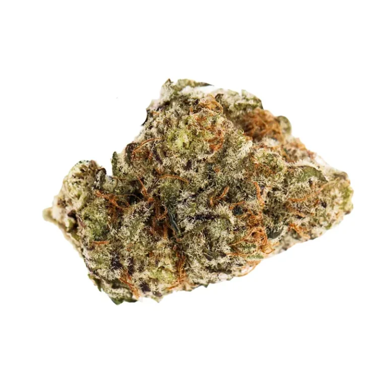 Flap Jacks Cannabisblüte mit dichten, olivgrünen Buds und orangen Stempelfäden