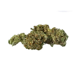 French Cookies Cannabisblüte mit dichten Trichomen als Beispiel für einen Hybrid-Indica mit Bisabolol-Terpenprofil