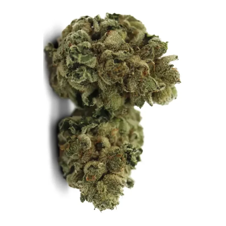 Dichte, harzige Blüten der Cannabissorte Frosted Cherry Cookies mit sichtbarem Trichomüberzug
