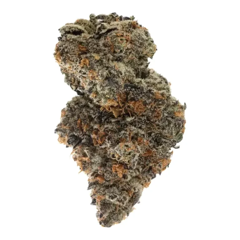 Nahaufnahme einer mit Trichomen bedeckten Frosted Cookies Cannabisblüte