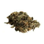 Cannabisblüte der Sorte Frozen Lemon Mints mit sichtbarem Trichombelag und Limonen-Terpenprofil