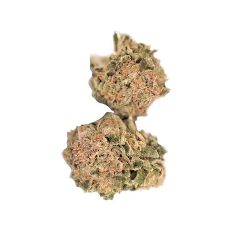 Cannabisblüte der Sorte Galaxy Walker OG mit dichten, harzreichen Blütenständen
