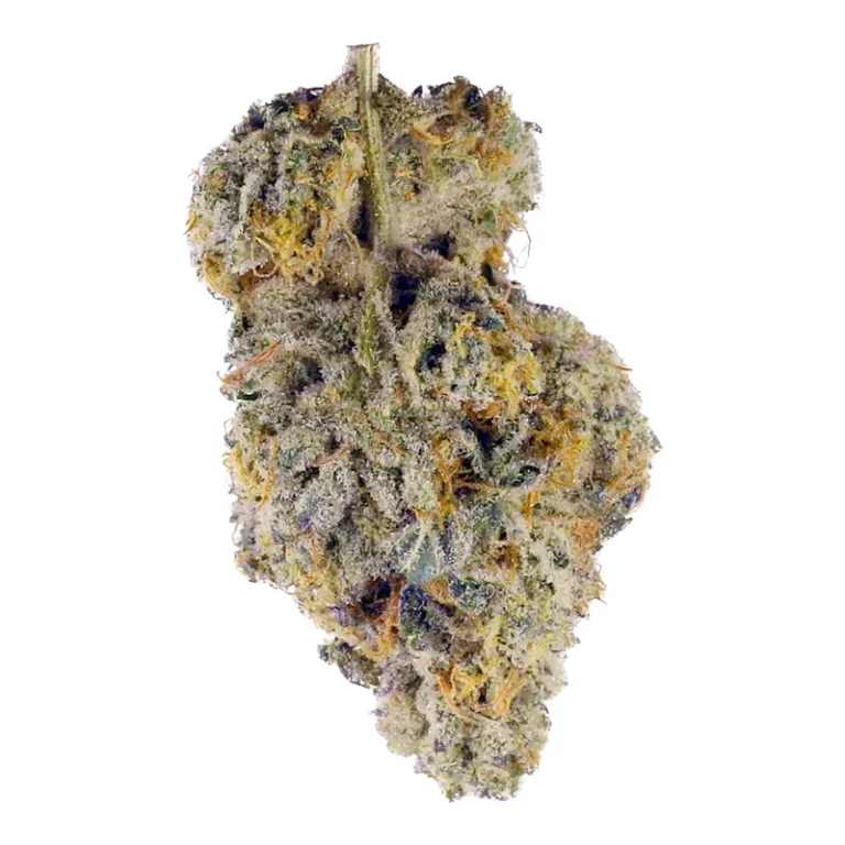 Nahaufnahme einer harzigen Garlic Truffle Cannabisblüte mit dichten Trichomen