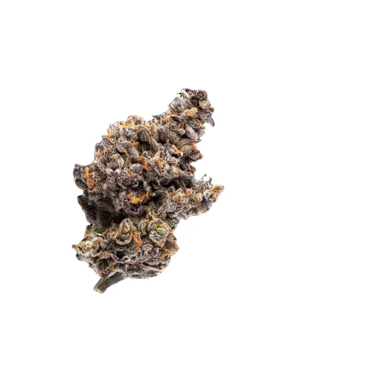 Nahaufnahme einer Gelatti Cannabisblüte mit dichtem Trichombelag und violetten Farbtönen
