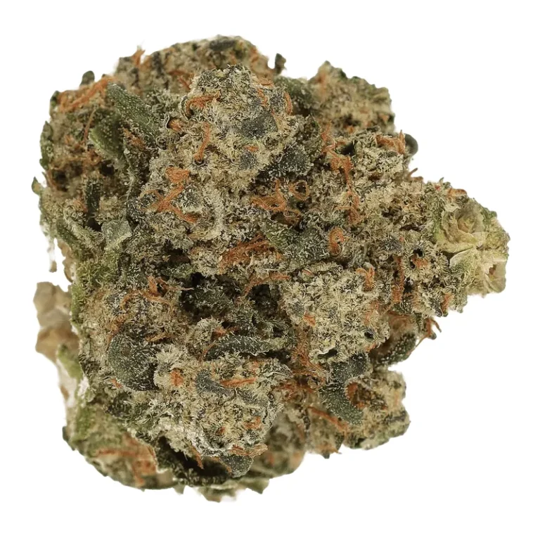 Ghost Train Haze Cannabisblüte mit dichtem Trichombelag, hellgrünen Blättern und orangefarbenen Blütenhaaren