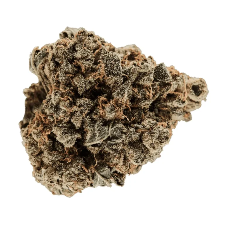 Grape Face Cannabisblüten mit violetten Blattspitzen und dichtem Trichombelag