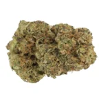 Hippie Kush Cannabisblüte mit Limonen-Terpen und sativa-dominanter Wirkung