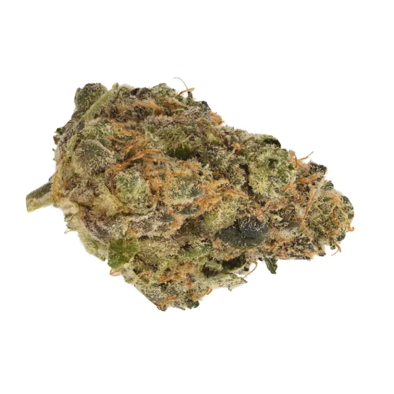 Ice Cream Cake Cannabisblüte mit dichtem, weißlich-frostigem Trichombelag und orangefarbenen Blütenhaaren