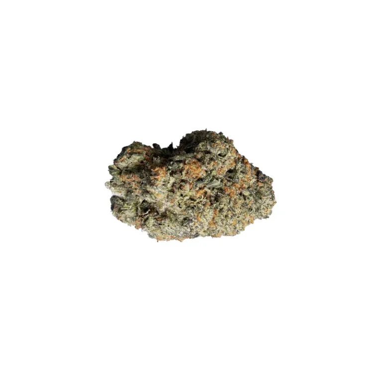 Blütenstand der Cannabissorte Jet Fuel Gelato mit dichtem Trichombelag