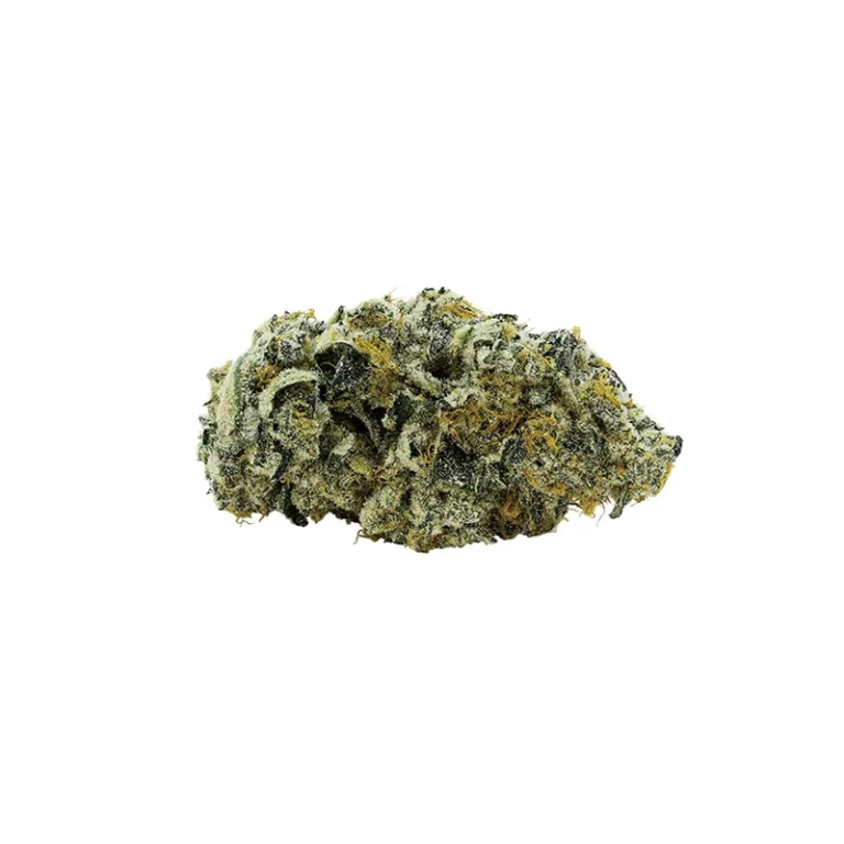Jet Fuel Pie Cannabisblüte mit dichten Trichomen, Nahaufnahme der THC-reichen Sorte