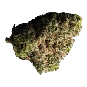 Jungle Fumes