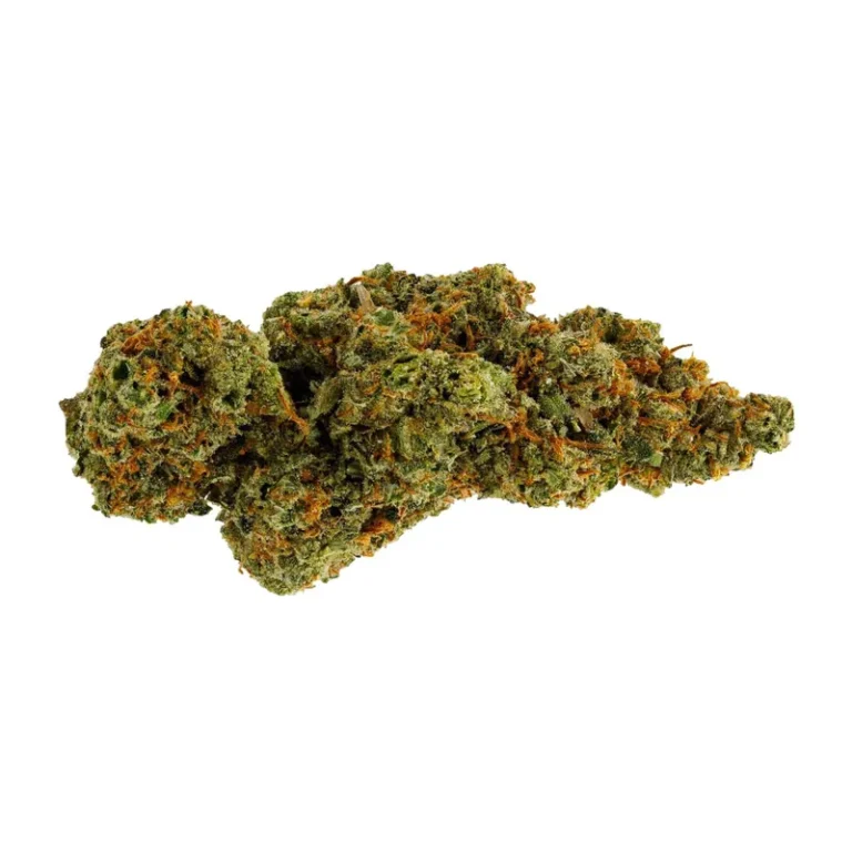 Kush Mints Cannabisblüte mit dichter Trichomschicht, orangefarbenen Blütenhaaren und violetten Farbnuancen