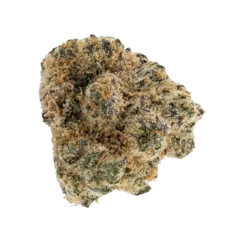 Dichte, harzige Blüten der Laker Kush, einer indica-dominanten medizinischen Cannabissorte
