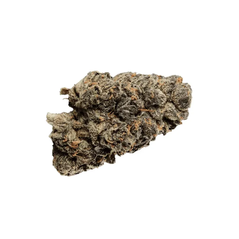 Nahaufnahme einer Lemon Cherry Gelato Cannabisblüte mit dichten, harzigen Kelchen