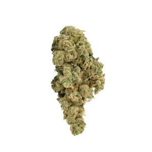 Lemon Kush Cannabisblüte mit sichtbaren Trichomen und zitronig-harzigem Terpenprofil