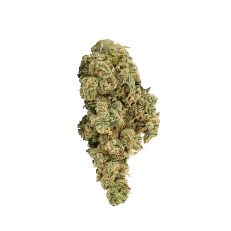 Lemon Kush Cannabisblüte mit sichtbaren Trichomen und zitronig-harzigem Terpenprofil