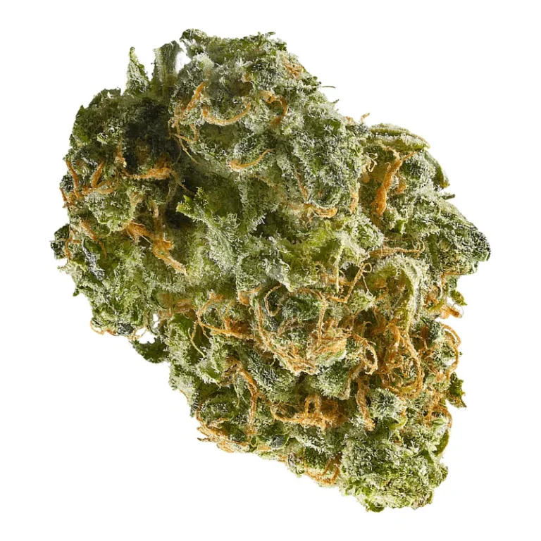 Lemonatti Cannabisblüte mit dichten Trichomen und Limonen-Aroma