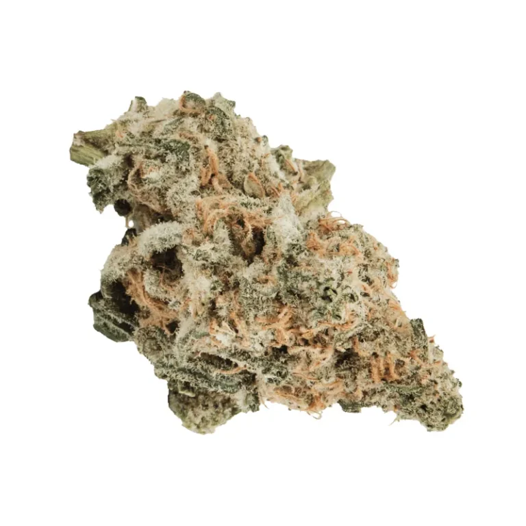 MAC 1 Cannabisblüten mit dichten Trichomen und orangefarbenen Stempelfäden