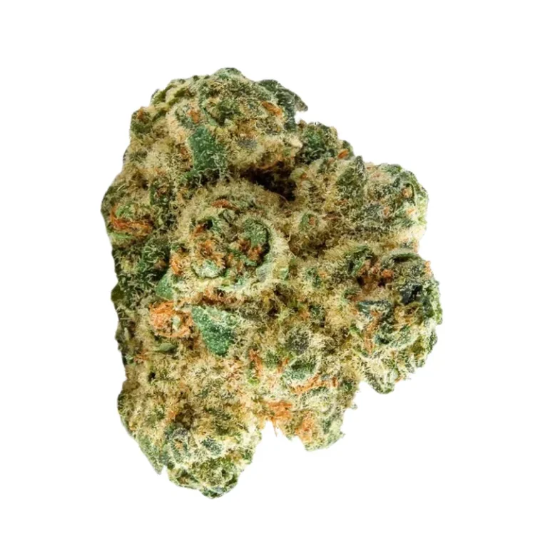 Master Kush Cannabisblüte mit dichtem, klebrigem Trichombelag