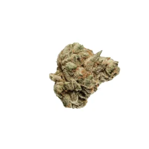Violette Blüten der Cannabis-Sorte Modified Grapes mit sichtbaren Trichomen
