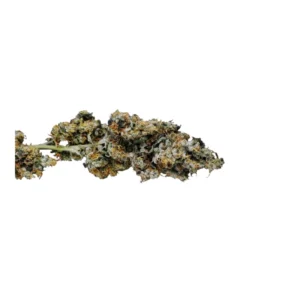 OG Kush