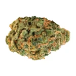 Cannabisblüte der Sorte OG Lime Kush mit sichtbaren Trichomen und zitrusfarbenem Blattwerk