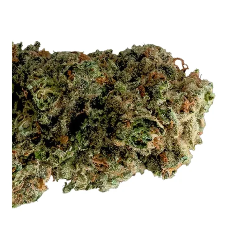 Paradiso Cannabisblüten mit violetten Trichomen und Limonen-Terpenprofil