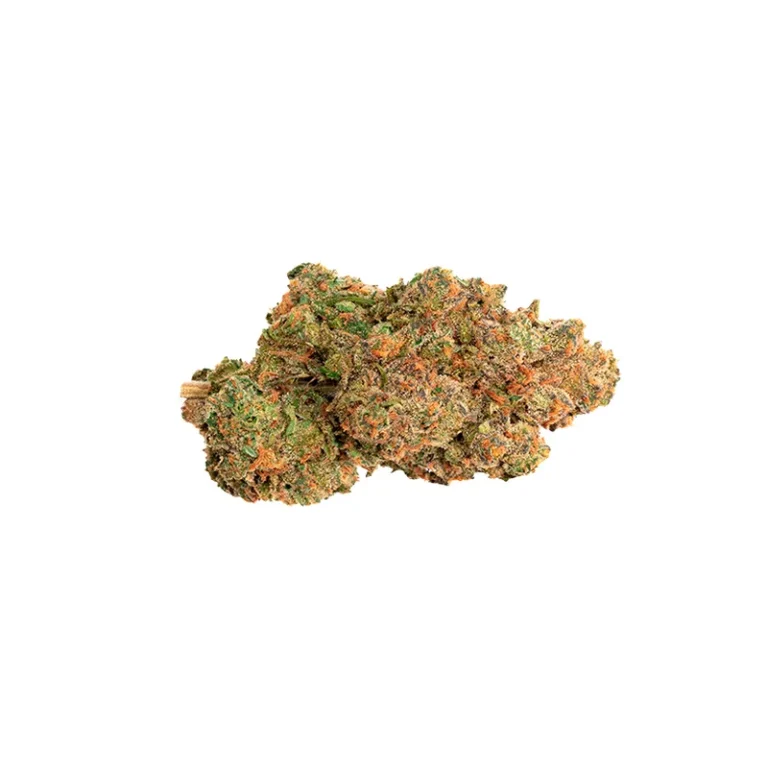 Nahaufnahme einer Pineapple Nuken Cannabisblüte mit dichten Trichomen und orangefarbenen Stempeln