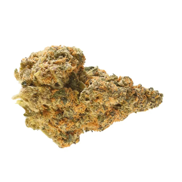 Dichte, rosa-violette Buds der Cannabis-Sorte Pink Slurricane mit dichtem Trichombelag
