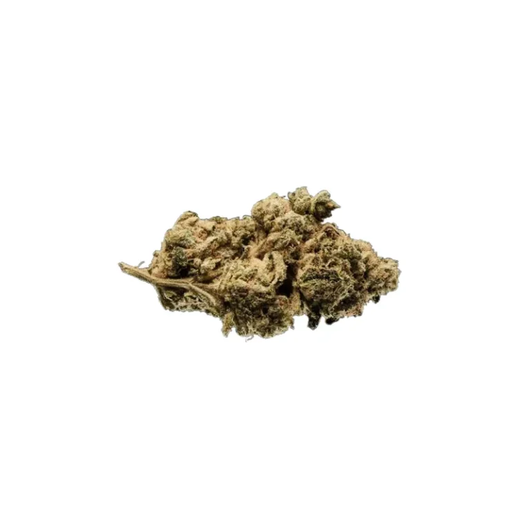 Platinum Pavé Cannabisblüte mit dichtem, platinfarben schimmerndem Trichombelag und violetten Farbakzenten