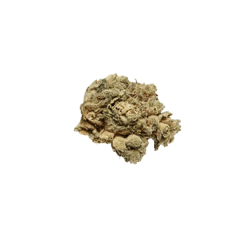Private Banana Cannabisblüten mit dichten, harzigen Buds und Limonen-Terpenprofil