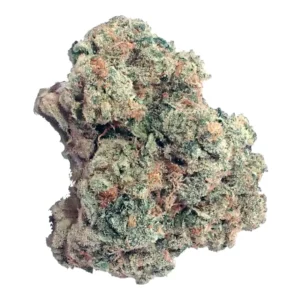 Purple Punch x Jungle Cake